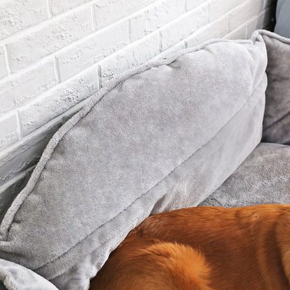 Glow & Grow™ Dog Bed