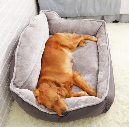 Glow & Grow™ Dog Bed