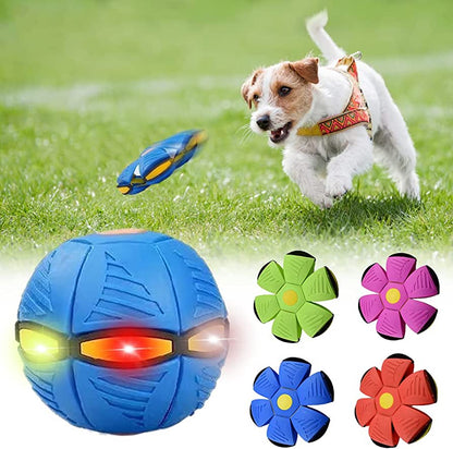 Glow & Grow™ Dog Ball Frisbee