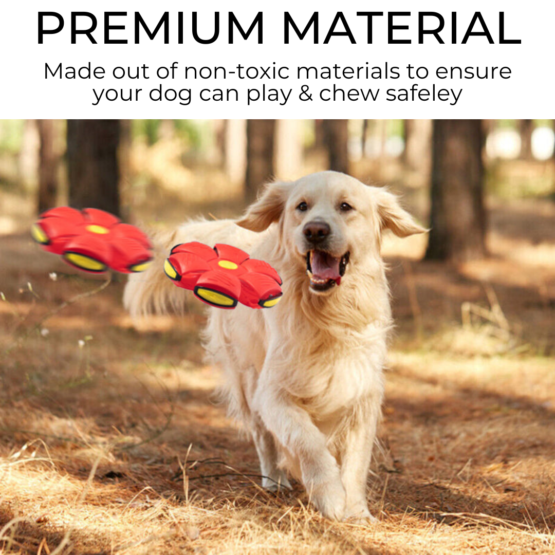 Glow & Grow™ Dog Ball Frisbee